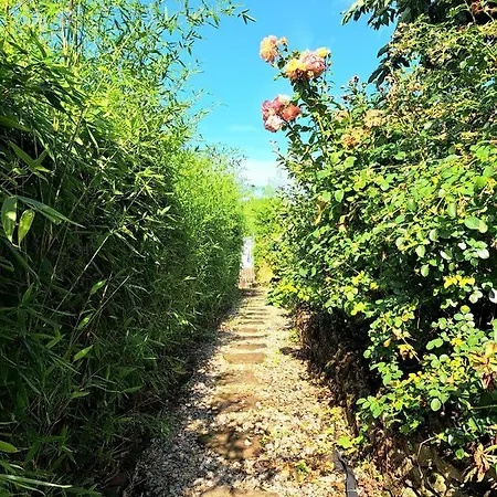 Art Farm I Group Near Frankfurt I Messe Apartman *