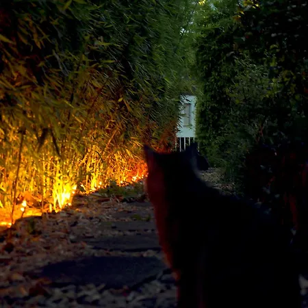 Apartman Art Farm I Group Near Frankfurt I Messe Schoneck