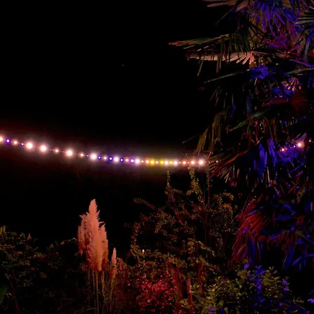 Art Farm I Group Near Frankfurt I Messe * Schoneck