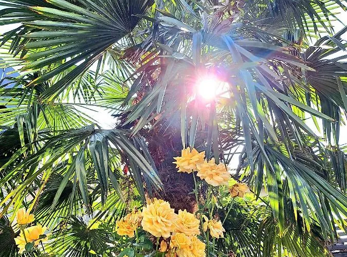 Art Farm I Group Near Frankfurt I Messe