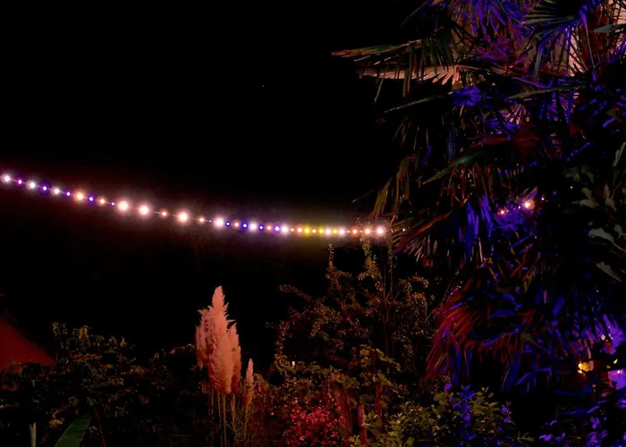 Art Farm I Group Near Frankfurt I Messe * Schoneck